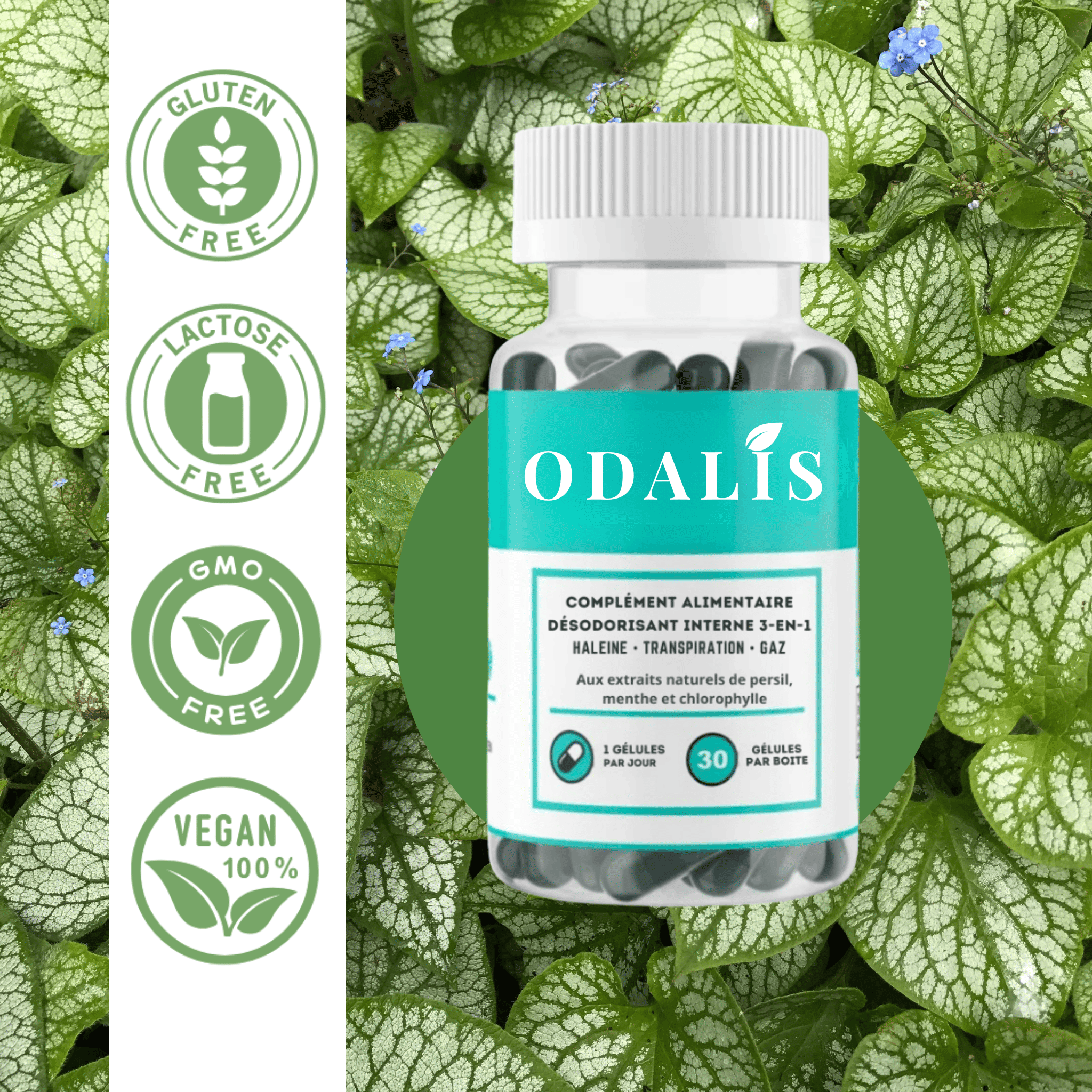 ODALIS, le complément anti-odeur 3-en-1 (haleine, transpiration, gaz)
